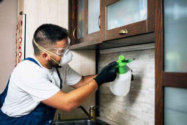 Best Commercial Pest Control Services  in Bentonville, AR