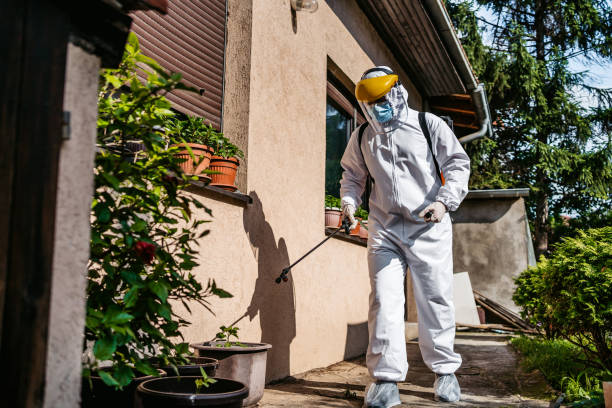 Best Affordable Pest Control Services  in Bentonville, AR