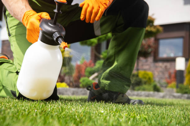 Best Pest Control Near Me  in Bentonville, AR