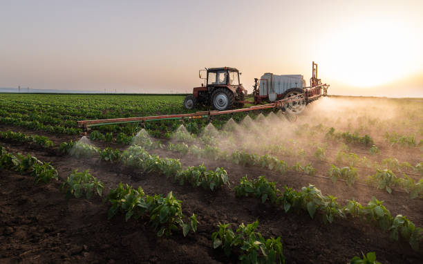 Reliable Bentonville, AR Pest Control Solutions