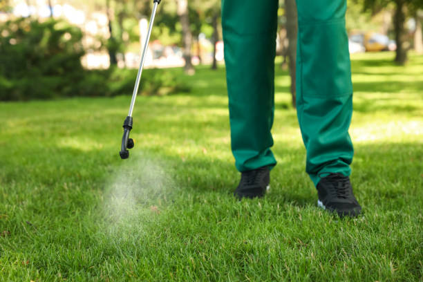 Best Pest Inspection Near Me  in Bentonville, AR