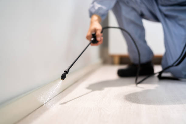 Pest Control Cost in Bentonville, AR