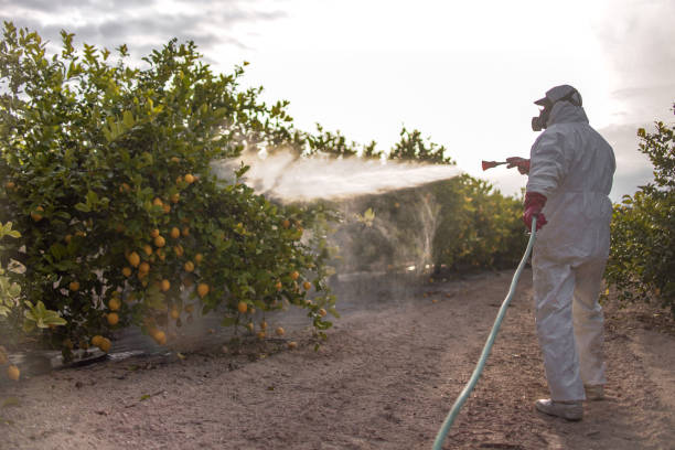 Best Pest Prevention Services  in Bentonville, AR