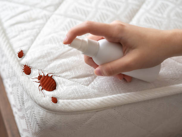 Best Affordable Pest Control Services  in Bentonville, AR
