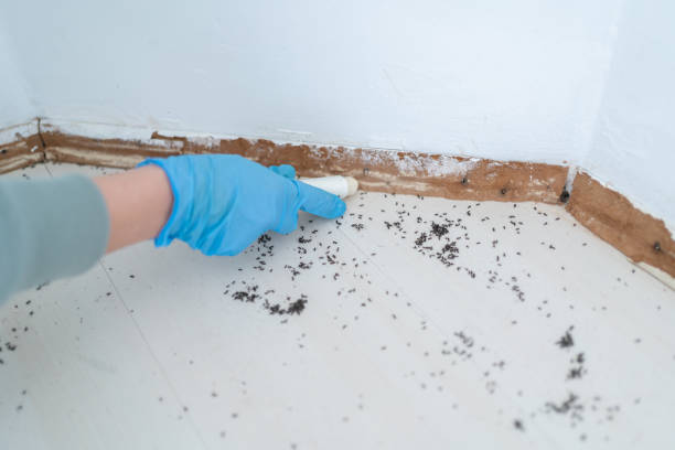 Best Pest Prevention Services  in Bentonville, AR