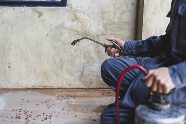 Best Best Pest Control Companies  in Bentonville, AR